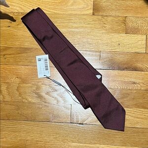 Suitsupply Elegant Burgundy Tie